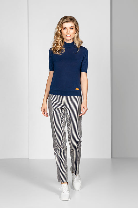 Navy Stripe Chinos